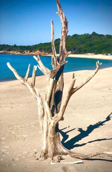 Villa Proche Ajaccio Et Mer Exclusive 2 A 10 Voyageurs Bastelicaccia Екстериор снимка